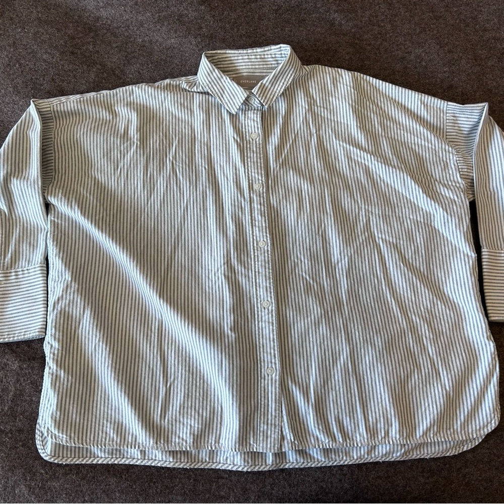 Everlane White and Blue Button Down Shirt